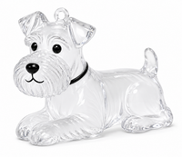 Fox Terrier