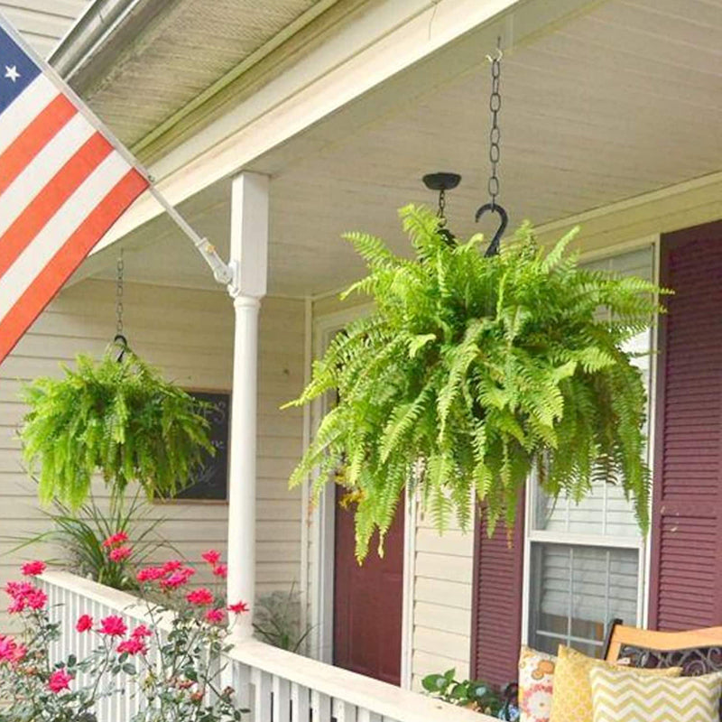 🔥Last Day 60% OFF🔥Oversized Pre-Lit Artificial Boston Ferns --No watering. No fading