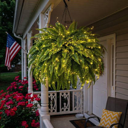 🔥Last Day 60% OFF🔥Oversized Pre-Lit Artificial Boston Ferns --No watering. No fading